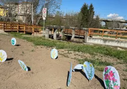 Tanti marcatori colorati segnalano l’oasi per la biodiversità seminata vicino al Parco del Maira